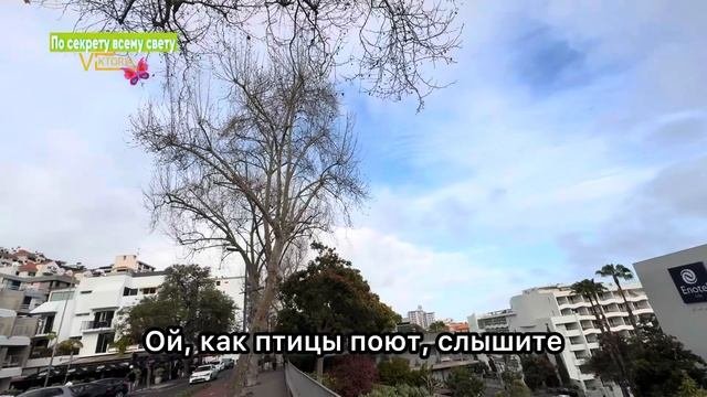 #отпуск#мадейра Прилетела на Мадейру. Отель. Район Лид?