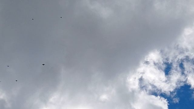 1000041580.mp4