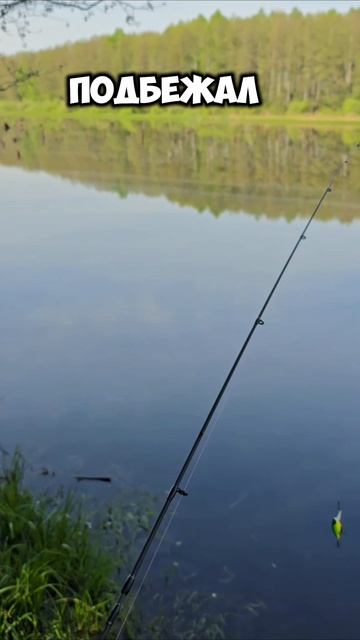 рыбаки самые честные) #рыбалка