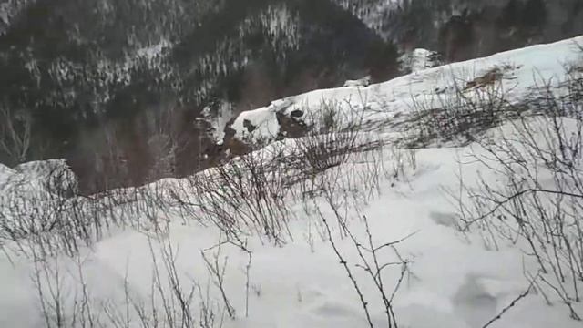10.02.2021. К реке Караульная через видовку. Часть 6.
