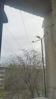 нам осталось учиться в школе 3 дня. А вам сколько? Напишите в комментариях.