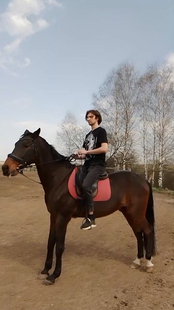 1000012258.mp4