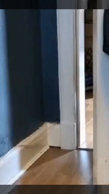 Бег с "препятствиями"😂