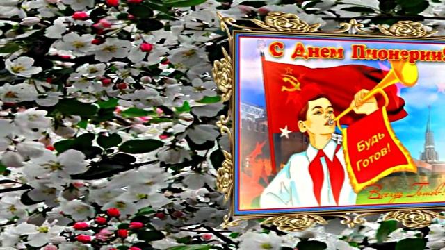 С Днём Пионерии 9! Поздравление от Киностудии Мудрого Кота Тимофея!!!