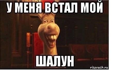 У меня встал  )