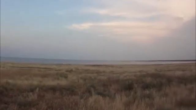 Банзай (2016)