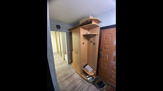 petal_20250519_115859.mp4