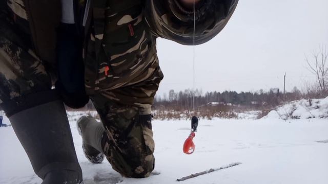 Ох уж эта рыбалка