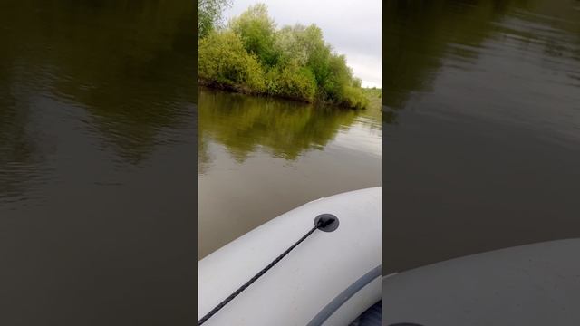 1000009203.mp4