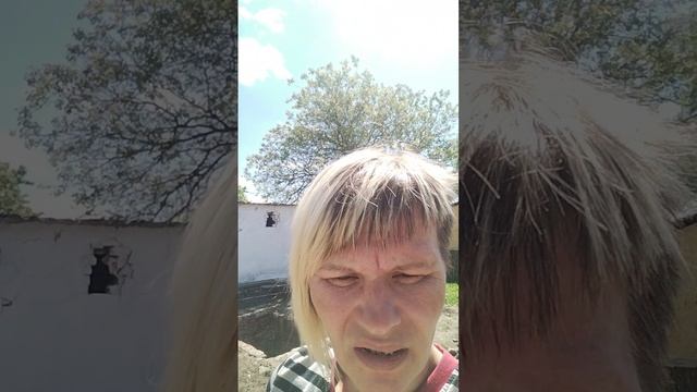 вернулись домой..