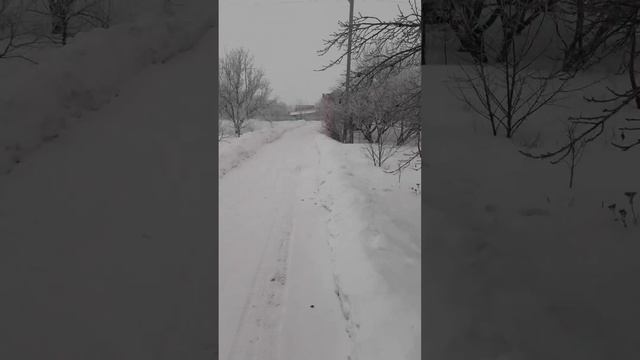 зима-зимушка
