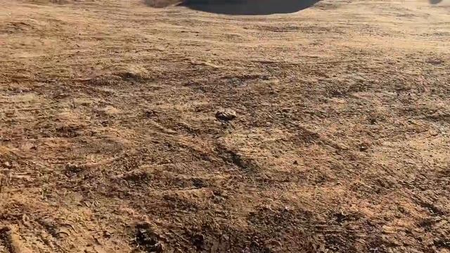 Гуляем по городу! Такая красота вокруг! Хорошая погода - залог отличного настроения!