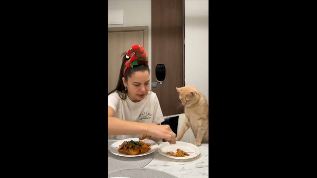 У кота нет терпения - 2025 год
