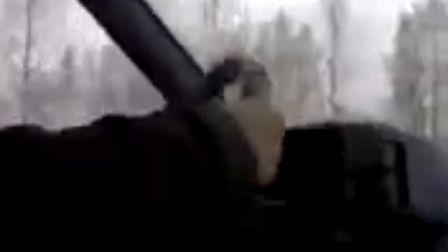 бабка- гоншица