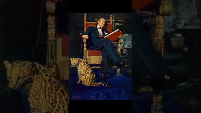 Как Дали создавал Дали? #загадка #магия #искусство #дали #сальвадордали #образ #гений #внимание