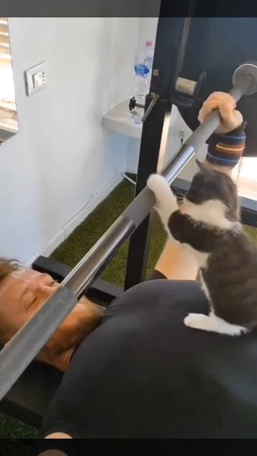 Тренер года😜