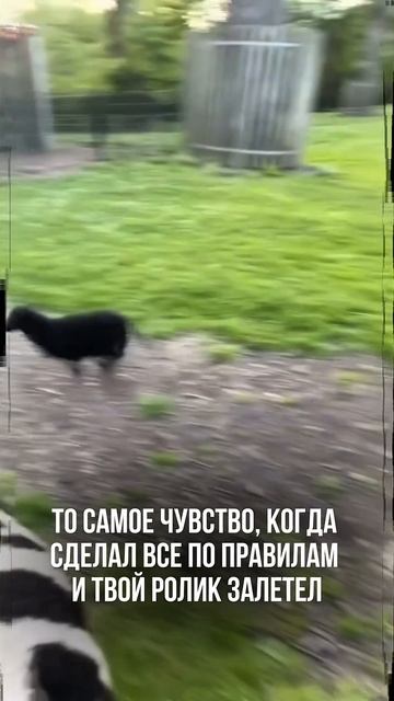 ПОДПИСЫВАЙСЯ НА КАНАЛ➡️@content_smm
⠀