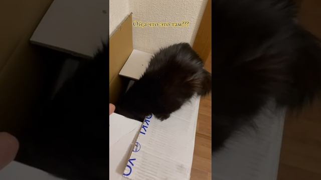 А что это там???