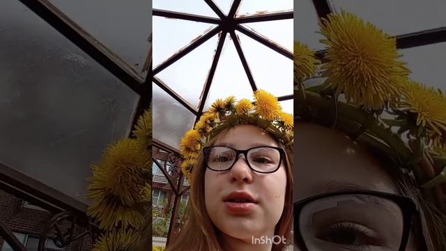 сплили Кинки из одуванчиков🌼
