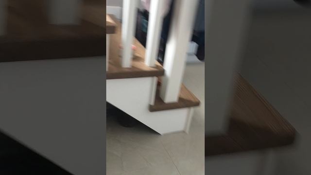 VID_20250519_165857.mp4