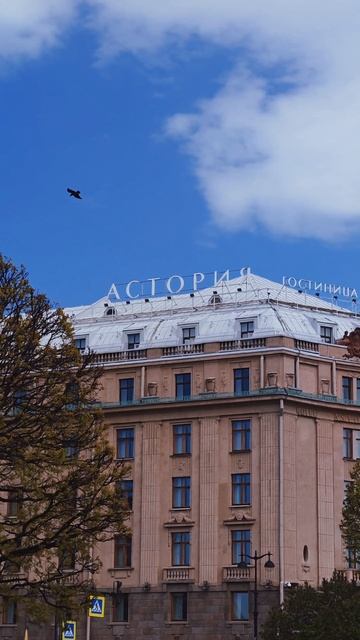 В. СПБ