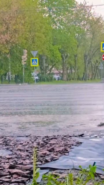 Дождь в городе