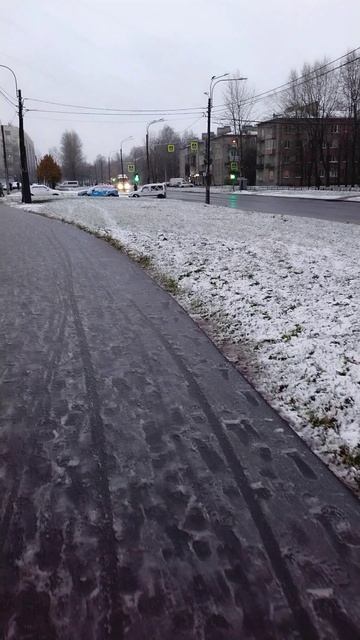 Выпал мокрый снег, Петербург. 3 ноября 2024.