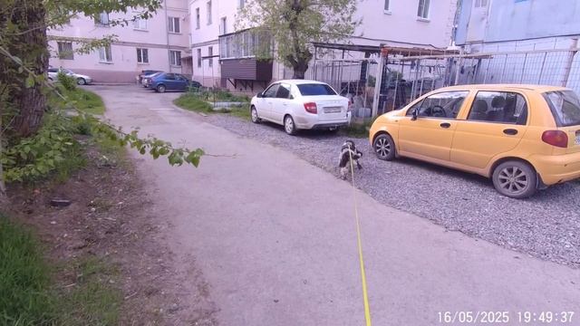 16_05_2025_Вайлет_на_Женю_на_Экране,_артефакт