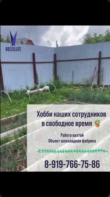 Хобби наших сотрудников