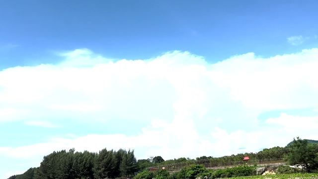 Песня Ковра-самолёта. Таиланд 2025 г. / Mai Khao Beach. Thailand 2025