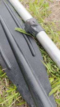 Клещи-это очень опасно.