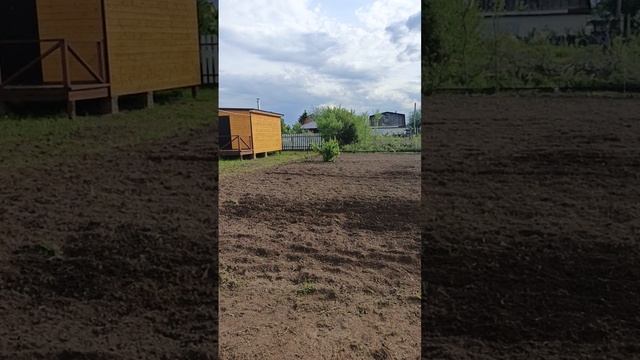 1000012088.mp4