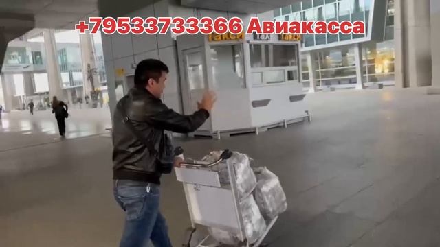 НЕГА ФАКАТ ПАСПОРТ                        САНКТ-ПЕТЕРБУРГ  #санк?