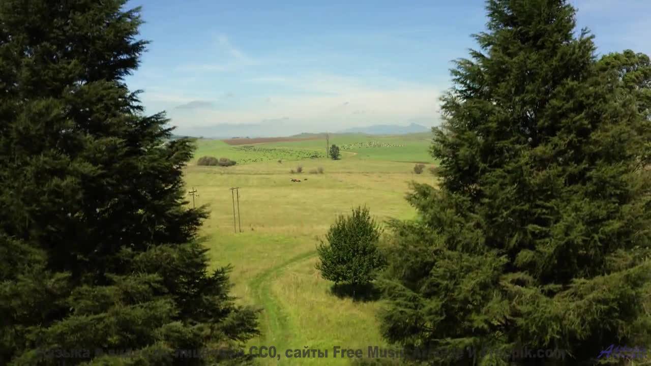 Каждый кадр - словно открытка, ожившая под музыку - Life Is A Poem And You Are My Friend -- HoliznaC