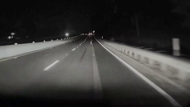 Система автопилота Tesla не заметила и сбила стоящего на дороге оленя.