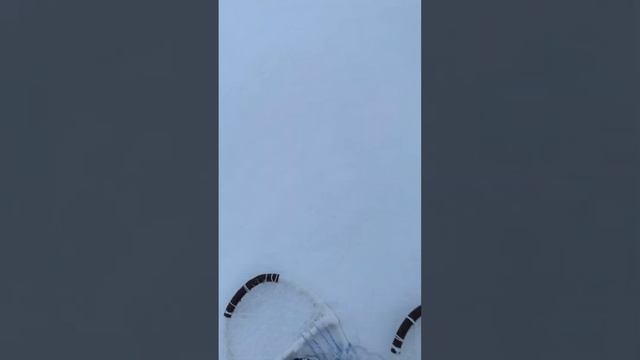 Снегоступы самодельные!
