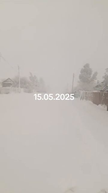 ❄️ Снежная зима вернулась в конце недели и в Забайкалье, потушив к утру субботы ряд лесных пожаров в