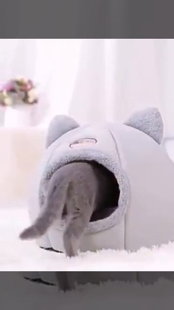 Домик Лежанка для кота #pets Bed for a cat Ссылка в комментари?