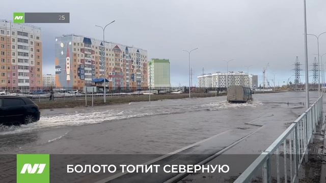 Новый участок Северной подтапливает водой из болота. Нижневартовск