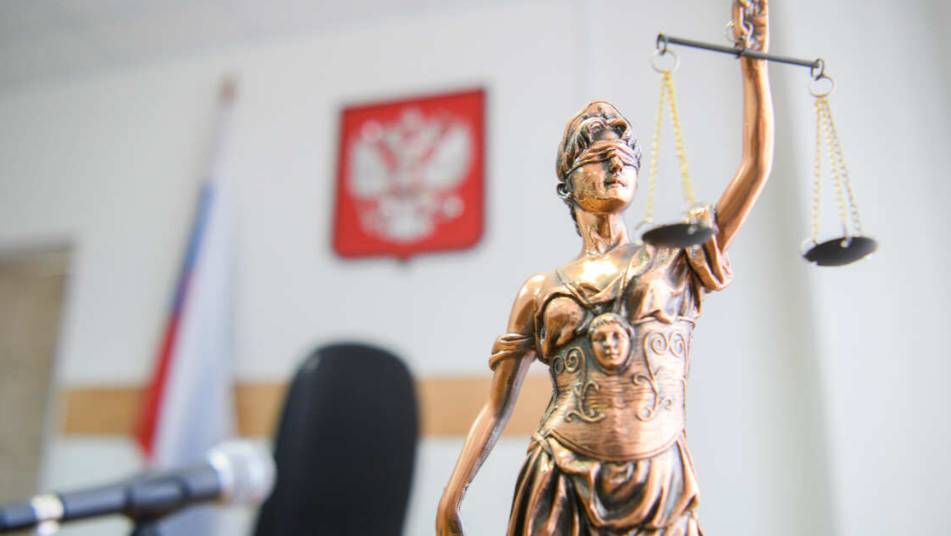 Суд вынес приговор хозяину собак, разорвавших лицо мальчику в Сочи