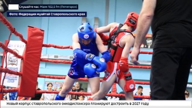 Ставропольские мастера муайтай завоевали 14 медалей на турнире в Ростове