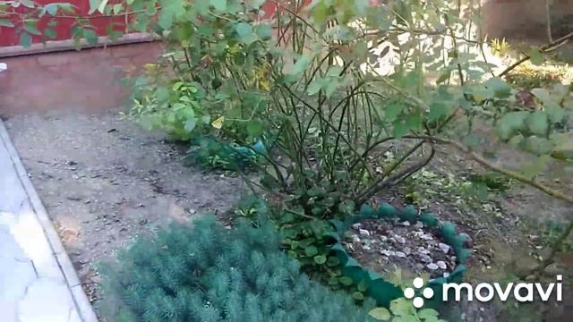 Разозлилась, потом нет, видео вне графика🤭🤭🤭🤭