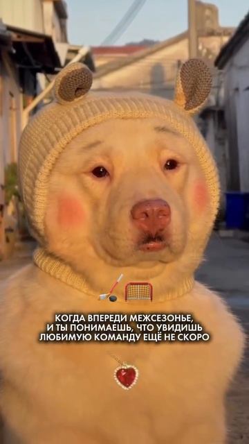 -5296663583466475186