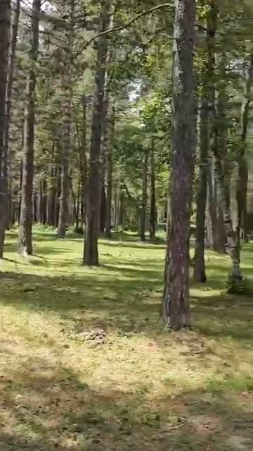 VIDEO-2025-05-15-18-07-12