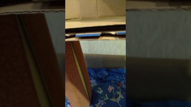 Делую новый дом из подушек и картона.