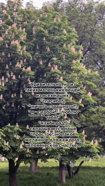 💕