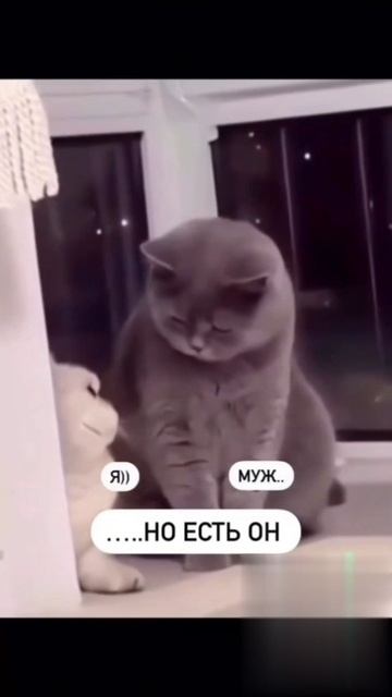Взгляд мужа сиди дома