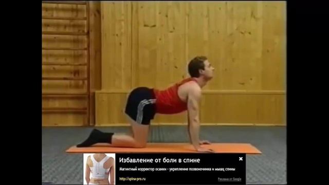 Упражнения для позвоночника дома