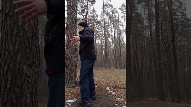 Длинные формы Тайцзи ! Вариант обходов ..."Семинар ❤️ Ц
