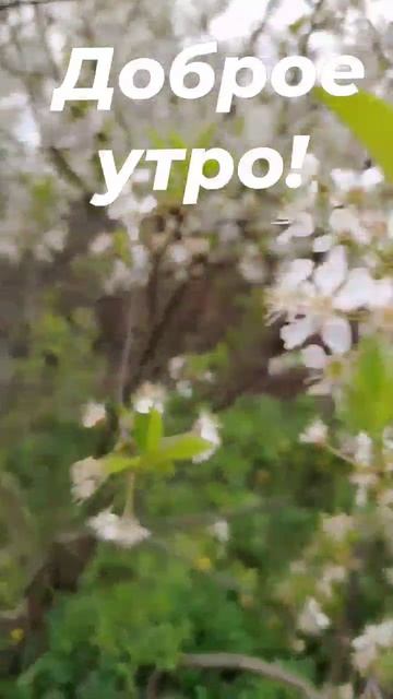 С бодрым утром!